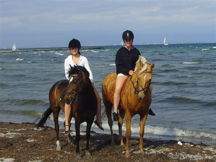 Anden særlig race                     Rain  billede 6