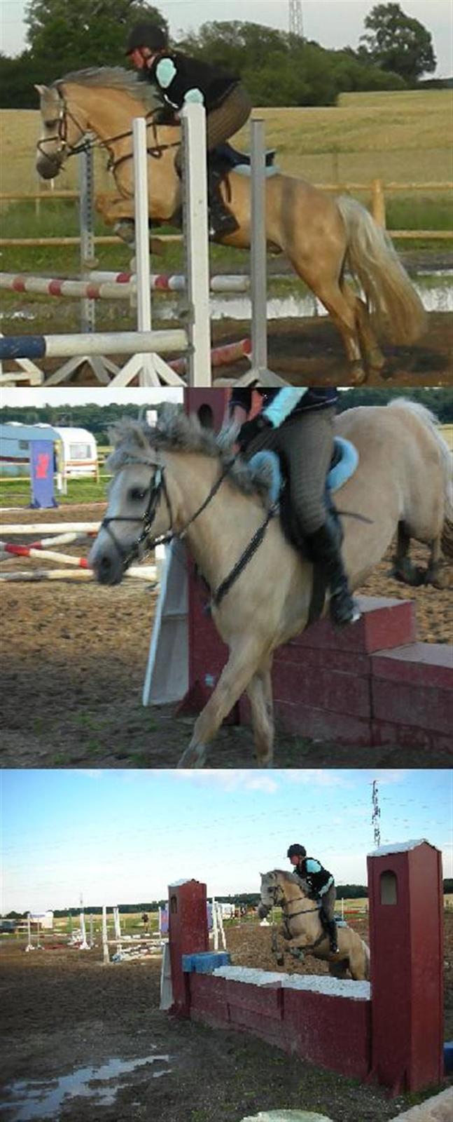 Welsh Cob (sec D) Ræveskiftets Nardi - 13) Mig og Nardi springer 2007 billede 13