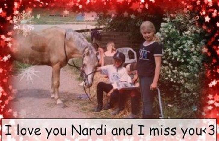 Welsh Cob (sec D) Ræveskiftets Nardi - 14) I love you Nardi and I  miss you<3 Mig og Nardi på ridelejr, for mange siden..Det var dengang Søborggård Rideklub hed Nygaard.. billede 14