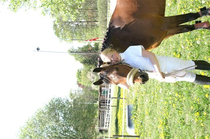 DSP Gloria Søblink - Gloria og mig til stævne i ÅSNR ;) 5 plads i spring billede 11