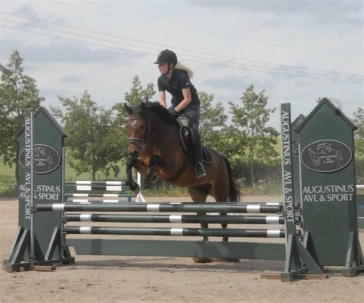 DSP Gloria Søblink - Springkursus 09 :) billede 12