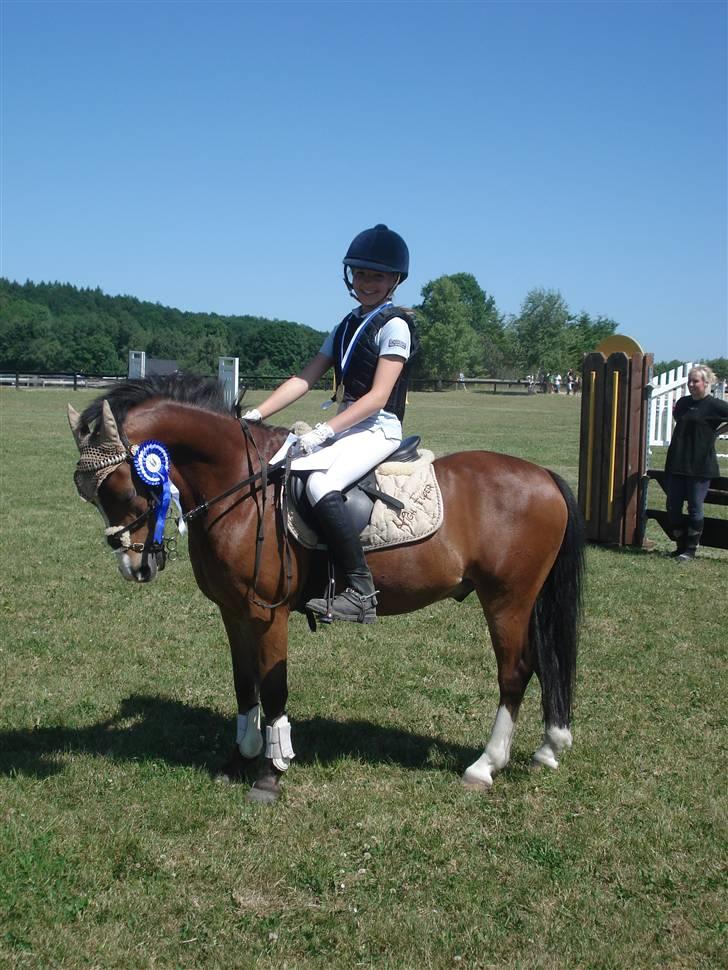 Welsh Mountain (sec A) Kildemose High-Flyer - Flyer & Elisa Klubmesterskab VÆR 2008! nr. 2 fordi min søster og hendes pony lige skulle slå os xD billede 18