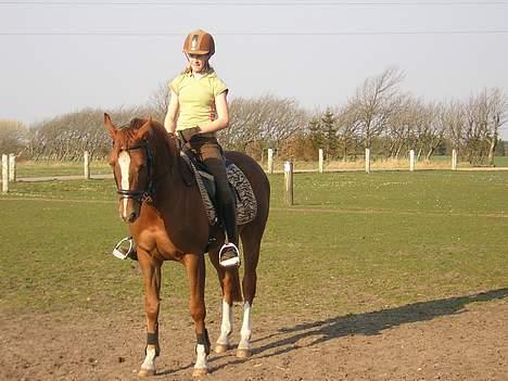 Anden særlig race Totti <3  *SOLGT*  billede 1