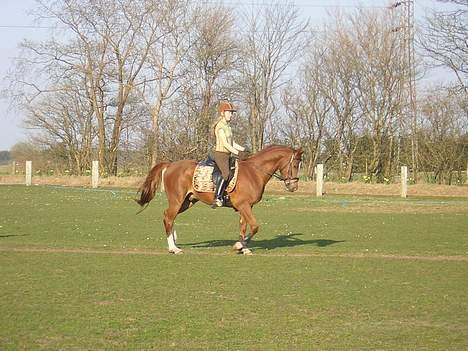 Anden særlig race Totti <3  *SOLGT*  billede 2