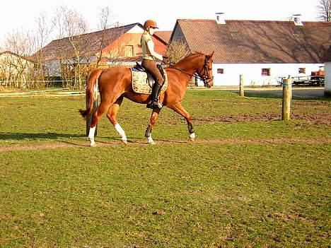 Anden særlig race Totti <3  *SOLGT*  billede 5