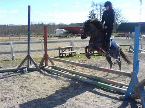Anden særlig race Victor - vi tager lige et lille spring billede 6