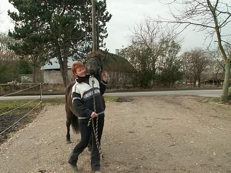 Islænder Fakur - SÅ GIV MIG DET KYS billede 10