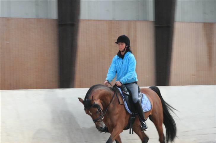 Arabisk fuldblod (OX) Fabhat  - fabhat med hans rytter Heidi billede 3