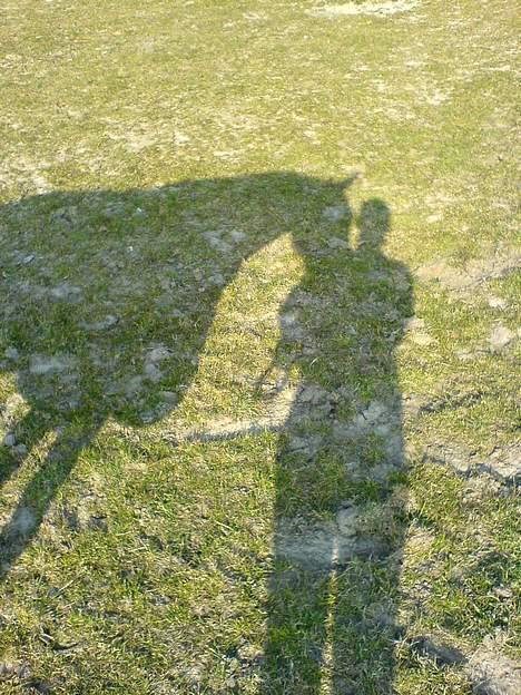 Fuldblod (XX) Polish Princess *Solgt* - Da jeg endelig fagede hende på folden billede 12