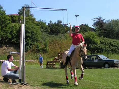 Fjordhest Bakkebo´s Thekla (savn) - her ser i os til ringridning igen!! billede 9