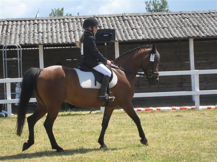 Anden særlig race Lizette - Detfynskebørnedyreskue. dressurer.. :) billede 7