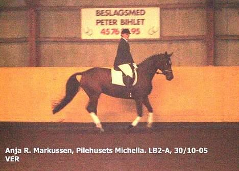 Dansk Varmblod Michella (Aflivet) - Anja og Mille dressurstævne(Anja var Milles ejer) billede 7