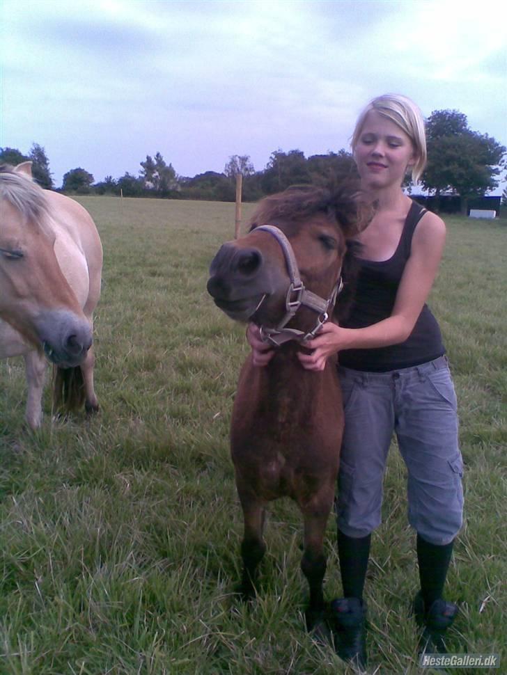 Anden særlig race Timon - Nydelse på en sommerdag billede 8