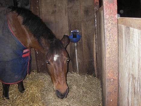 DSP Barbette - heeeeeej<3<33<333 billede 9