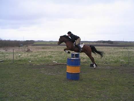 Anden særlig race | Sheika Bahia 'SOLGT :'( - Her springer vi 1 meter (:  billede 8