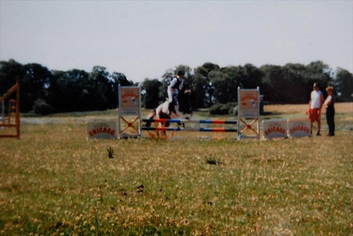 Pinto Solvej †   - Når du går mangler jeg inspiration.  Når du går er der ikke mere at sige.  billede 4