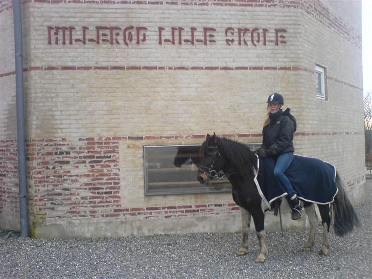 Pinto Solvej †   - Men jeg kunne ikke lade være  Kunne ikke lade være med  At elske dig  billede 7