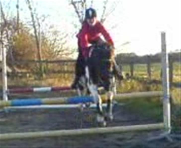 Pinto Solvej †   - Tryghed er, at vide at du er til  At vide at du altid er der for mig  billede 9