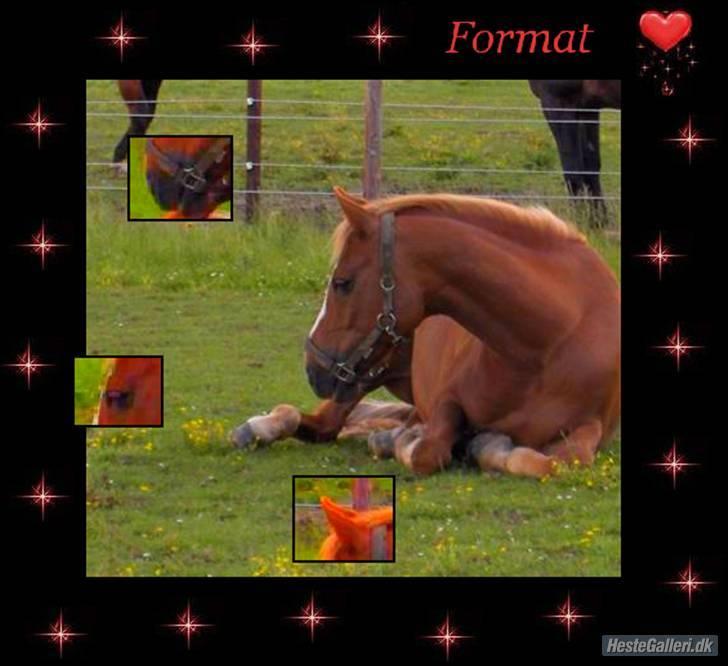 DSP format R.I.P billede 18