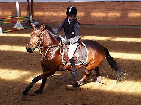 Connemara Disney's Fedtmule SOLGT - SMID EN BEDØMMELSE :D  billede 12