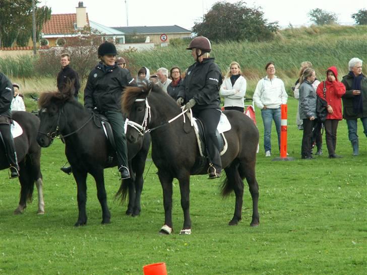 Islænder Fakur - ishestensdag billede 14