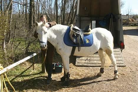 Anden særlig race Bonnie <3 - inden pony games :D billede 15