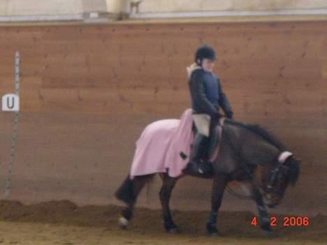 Anden særlig race Lotte R.I.P - igen<3 billede 14