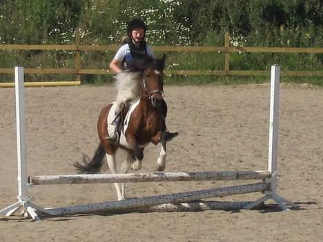 Pinto Tamara  - Springe kan hu sagtens billede 13