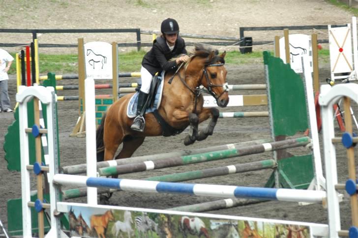 Anden særlig race Cheik Sherry solgt :'( - Her springer vi LB på EGE. Vi fik en 5. plads, og sprang efterfølgende en LA med 4 fejl. 19. august 2007. billede 16