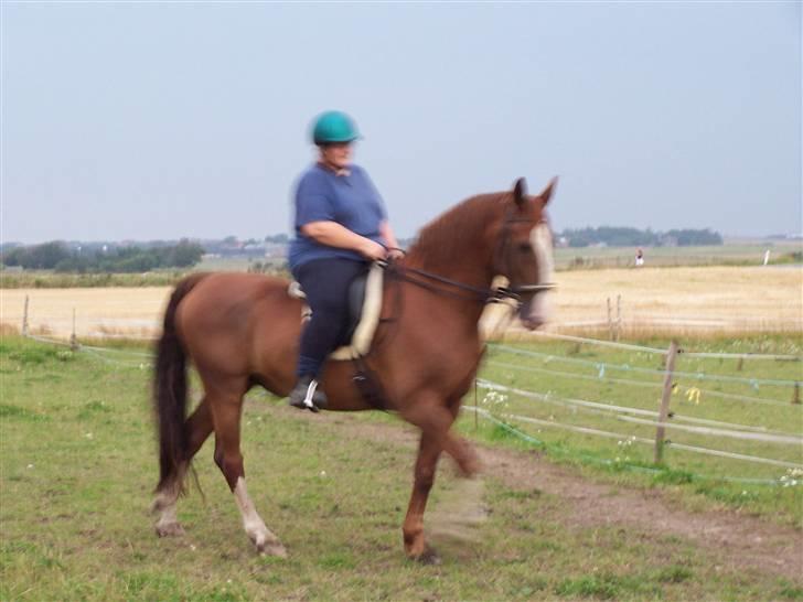 Gelderland Romeo - Her sammen med min mor:-) billede 7