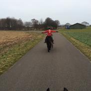 Islænder Emma  fra vinbyholt