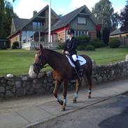 New Forest (sonne) Quezon