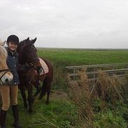 Anden særlig race Fasja