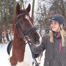 Anden særlig race Leopold