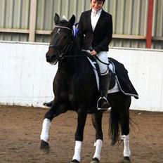 New Forest Calandias Fairytale