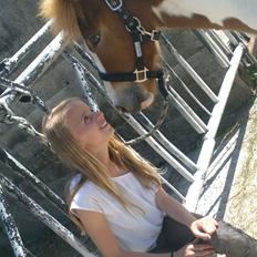 Islænder Litla fra Midtgaard