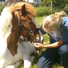 Islænder Litla fra Midtgaard