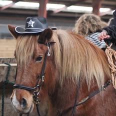 Islænder Sóley fra Espenhøj