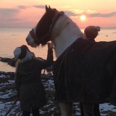 Tinker Kenzo's thumps up *kenny* 