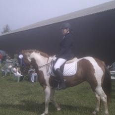 Paint Ravnens Lady Marion