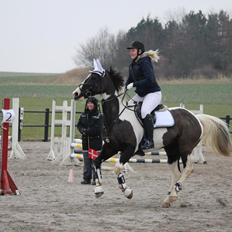 Anden særlig race May-Night Chic