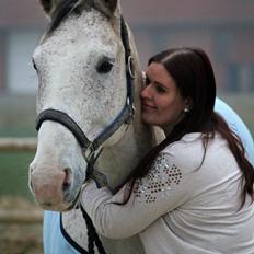 Holstener Fruerholm's Adonis *For Evigt Elsket <3*