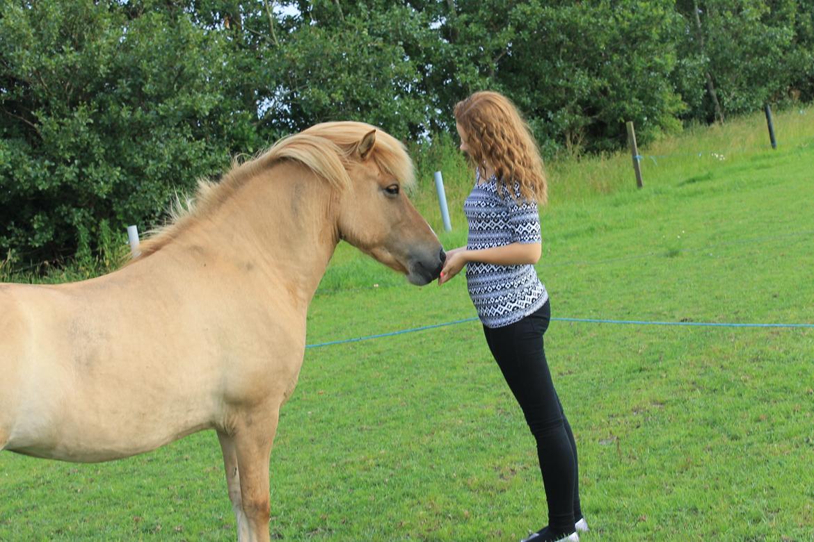 Islænder Sóley fra Röðli billede 13