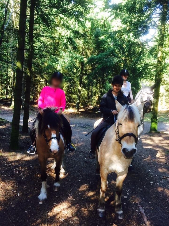 Fjordhest Toke - En af vores ture på vej til Fjorden-2014 <3 Melissa rider Toke :) billede 4