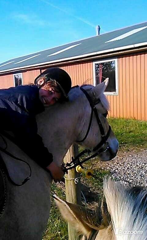 Fjordhest Toke - Melissa og Toke <3 2014 billede 10
