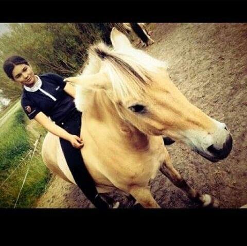 Fjordhest Toke - Sommeren 2014 <3 Hygge med Nanna på folden <3 Foto-Nanna <3 billede 3