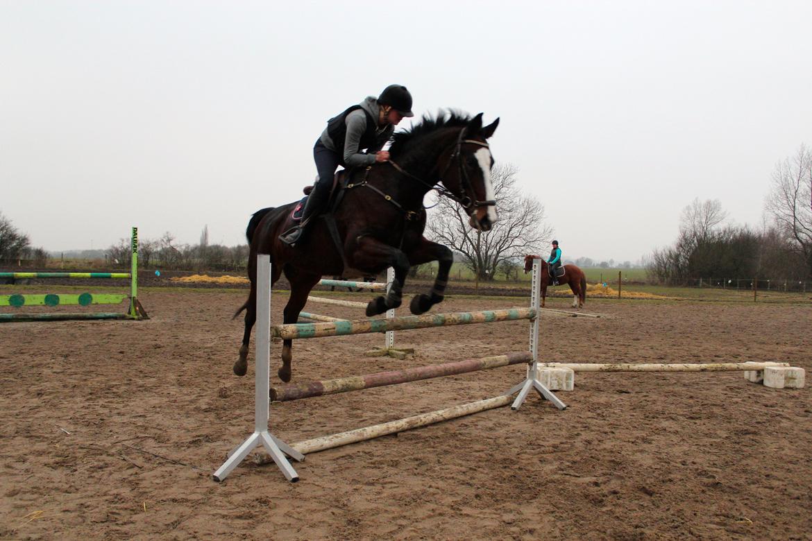 Oldenborg Fie billede 17