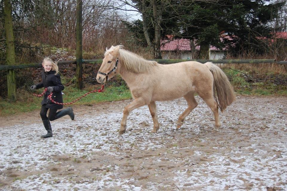 Anden særlig race Dina billede 12