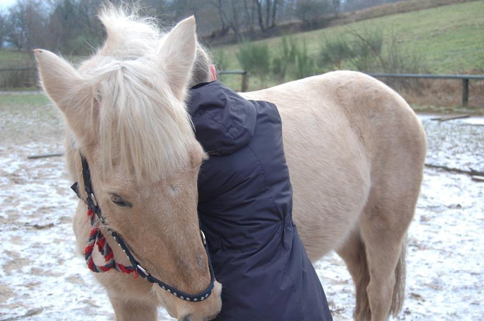 Anden særlig race Dina billede 14