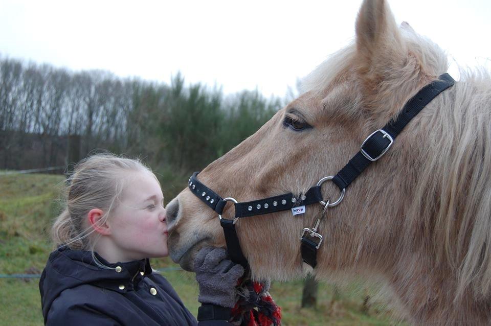 Anden særlig race Dina billede 16